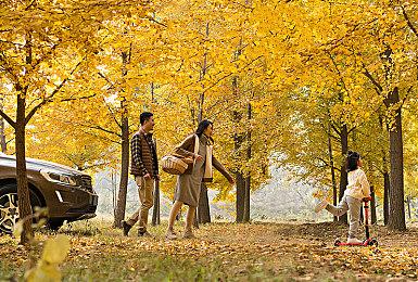 《霍格沃茨之遗2》有可能变成一款实时服务游戏