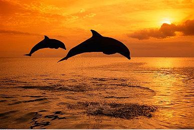 《崩坏：星穹铁道》还将登陆PS之外的主机平台