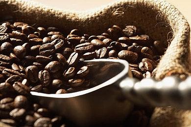 《光环：无限》多人模式短期内不会添加科塔娜